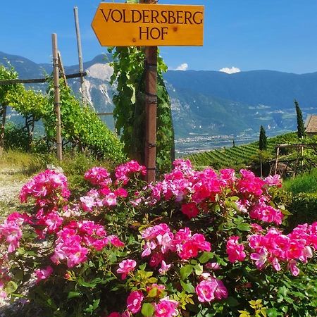 Appartement Voldersberghof à Cortaccia sulla Strada del Vino Extérieur photo