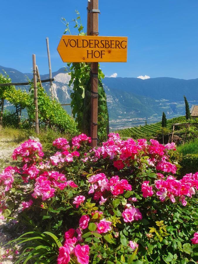 Appartement Voldersberghof à Cortaccia sulla Strada del Vino Extérieur photo