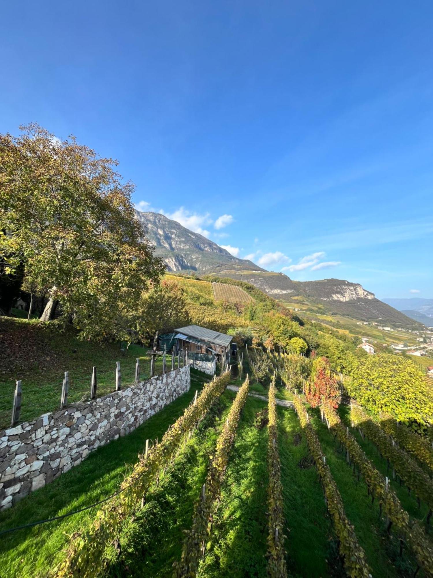 Appartement Voldersberghof à Cortaccia sulla Strada del Vino Extérieur photo